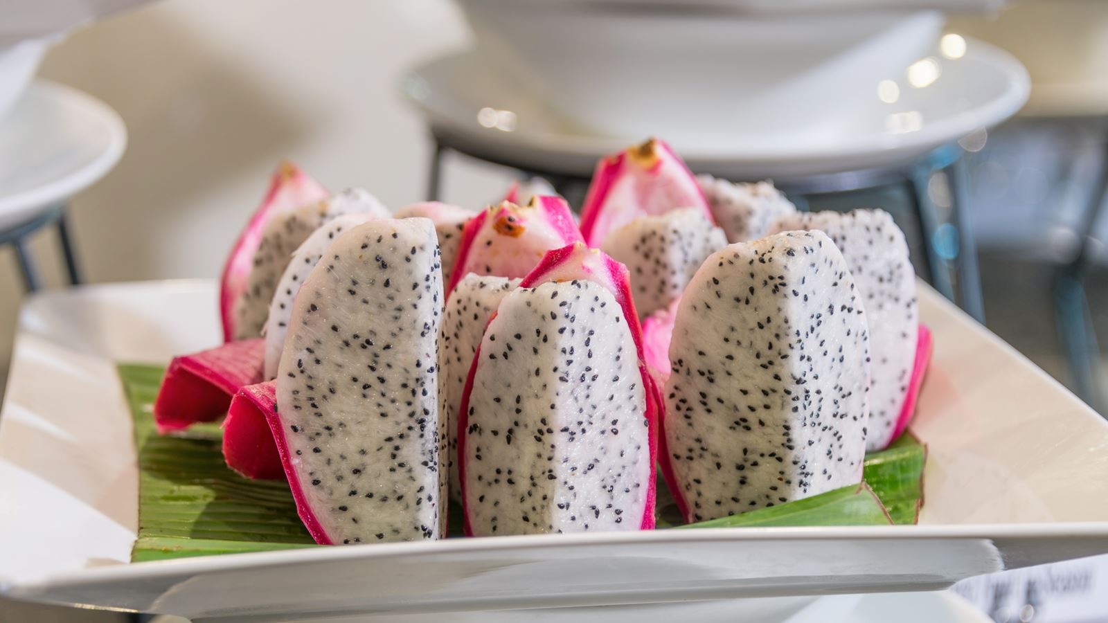 restaurants-termsuk-bar-and-restaurant