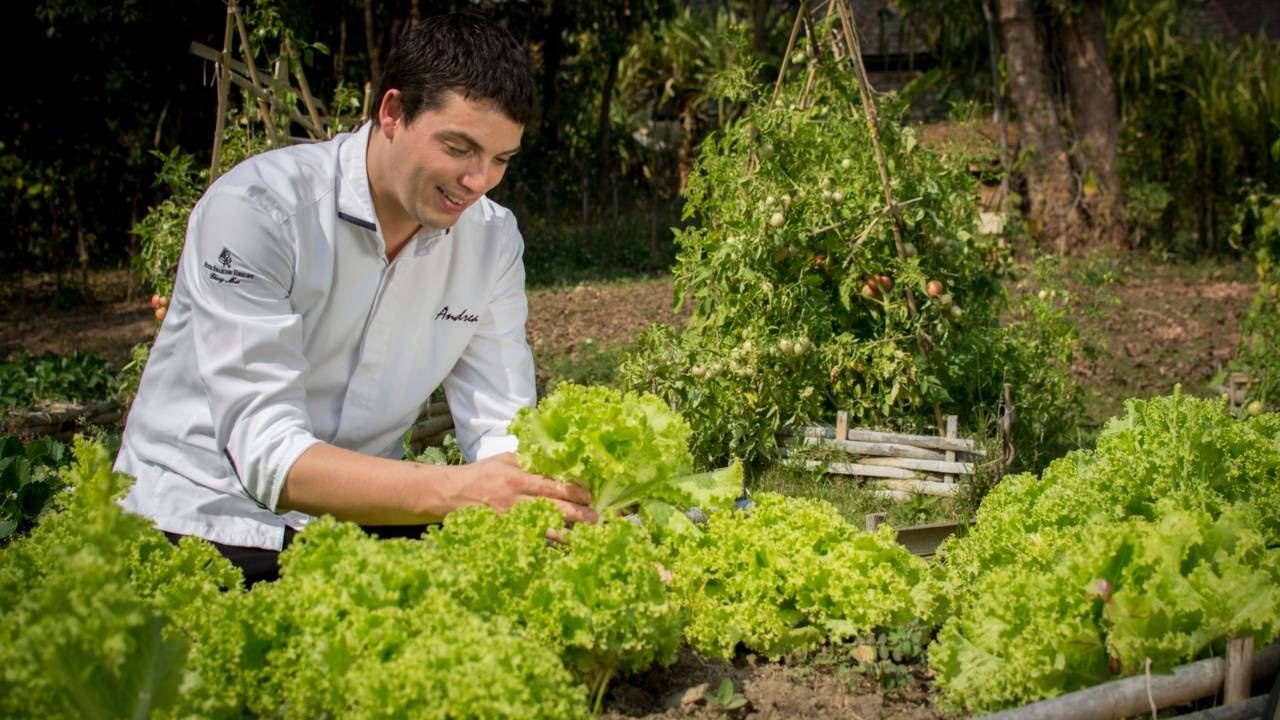restaurants-room-service
