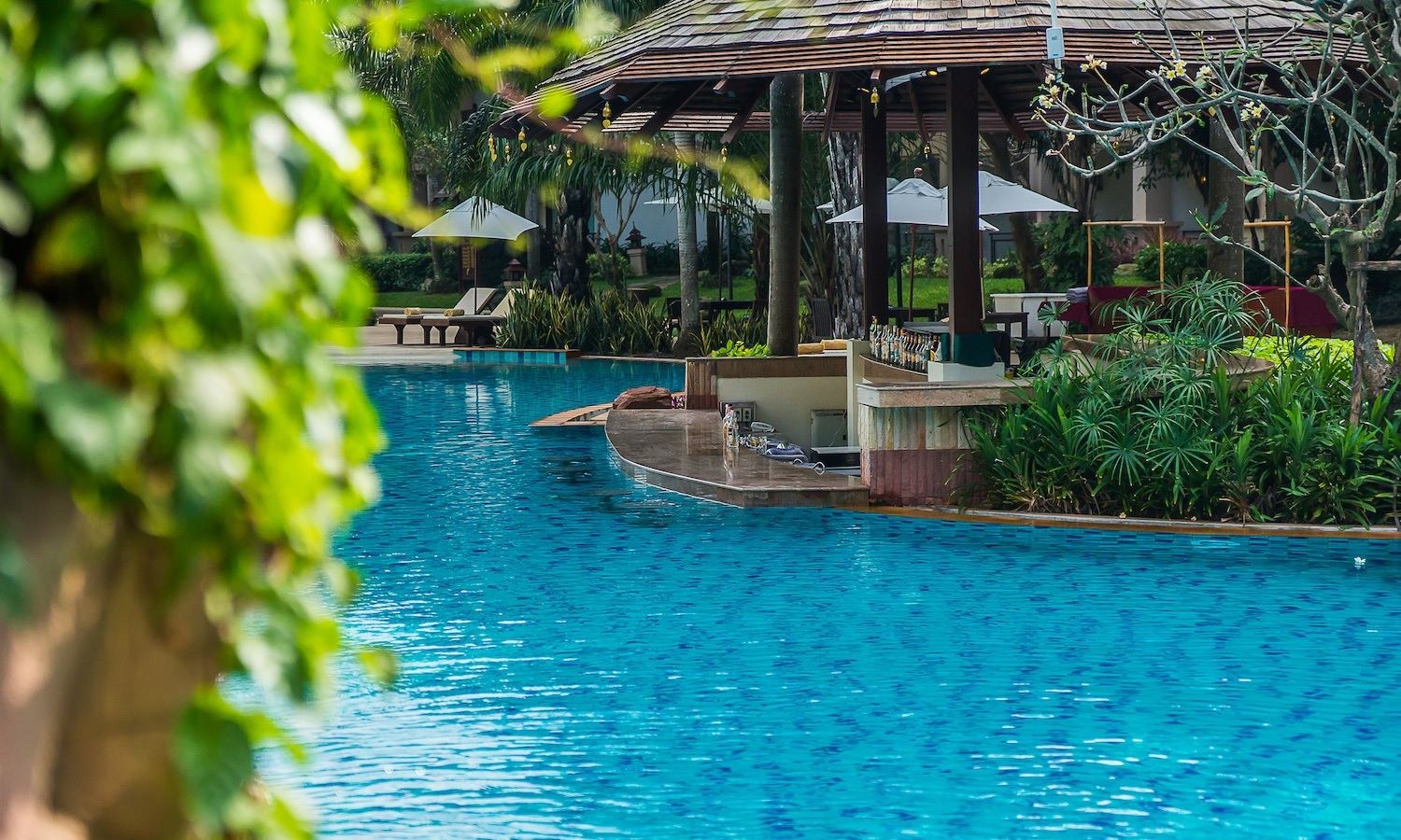 restaurants-splash-pool-bar