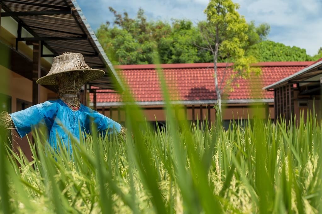 rooms-grand-deluxe-room