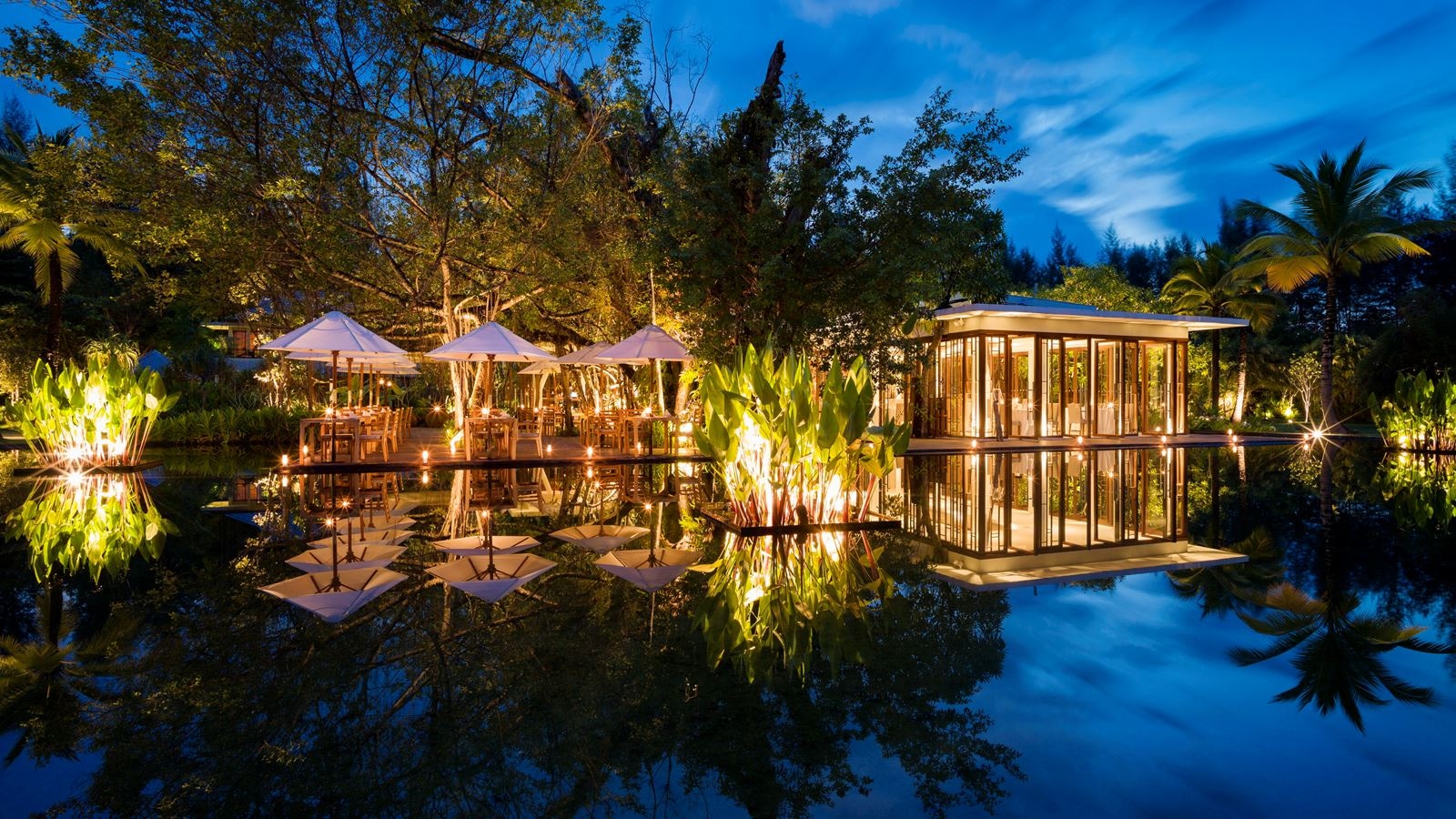 restaurants-ficus-restaurant