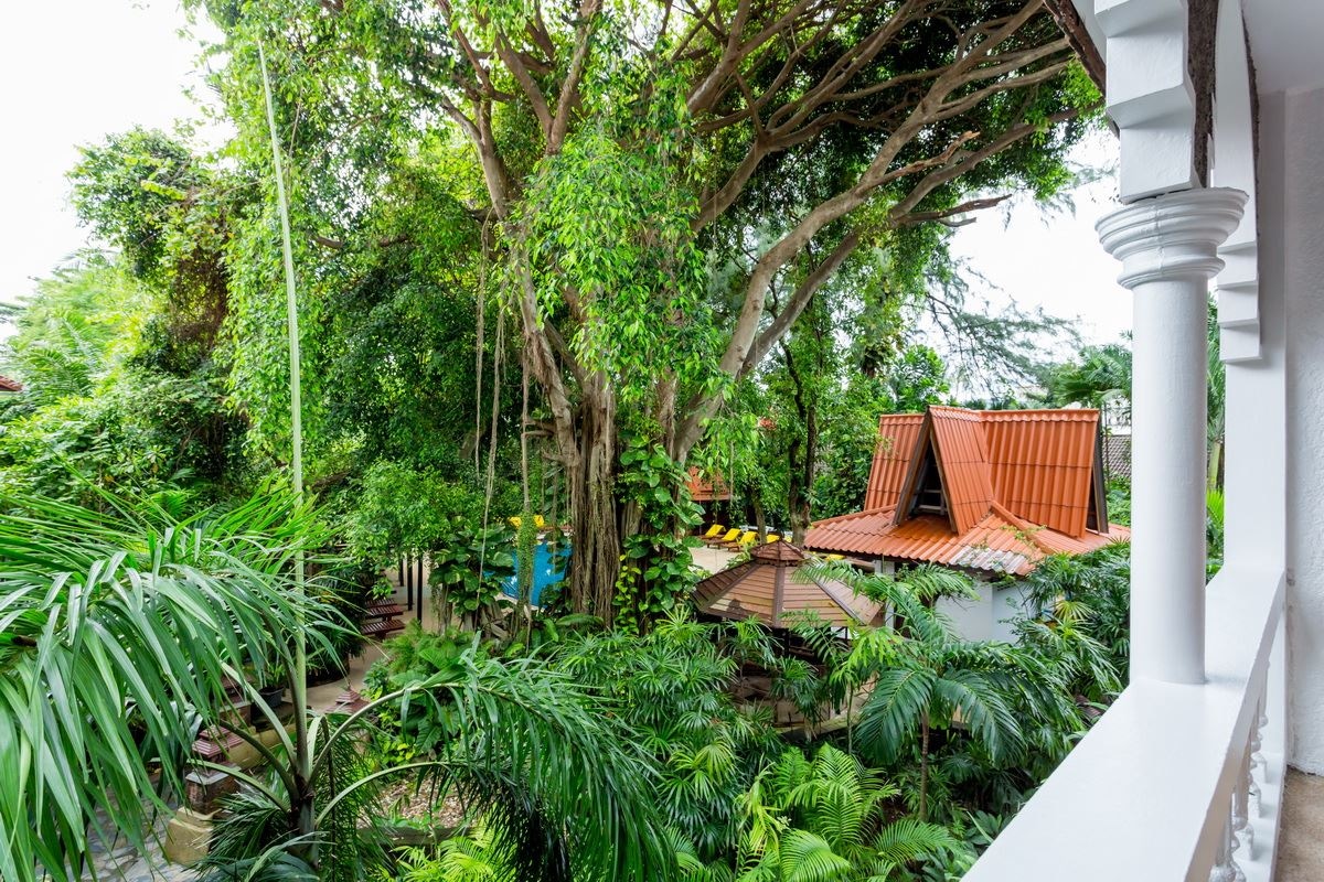 rooms-deluxe-family-room