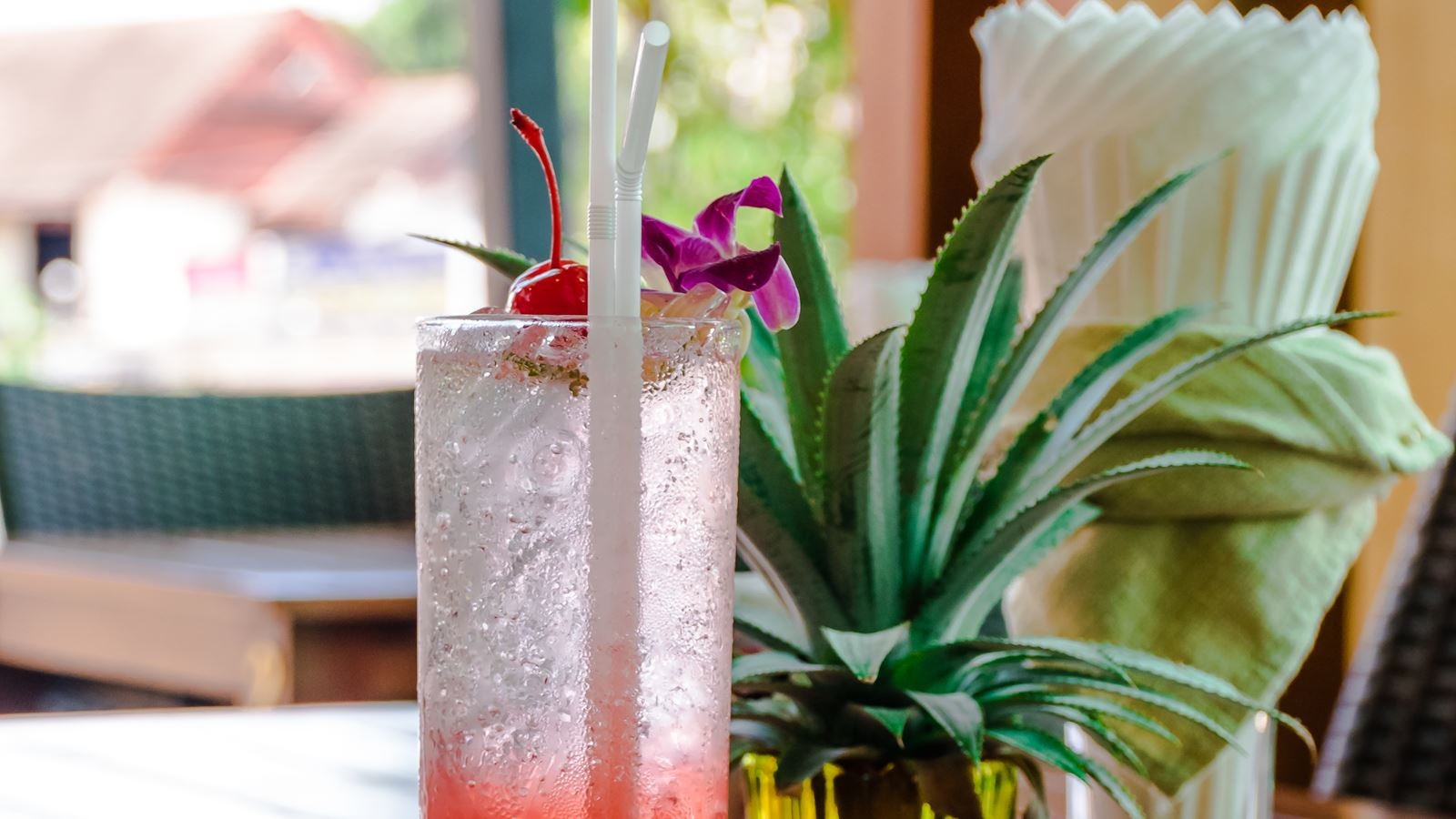 restaurants-restaurants