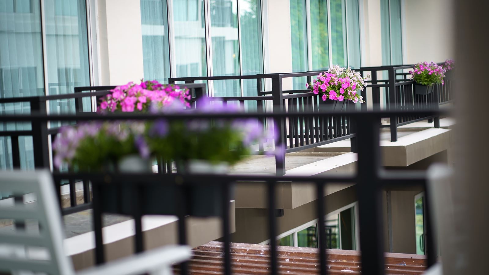 rooms-junior--suite-pool-view