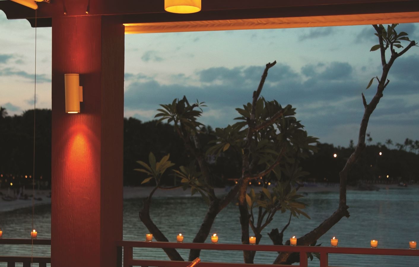 restaurants-wild-ginger