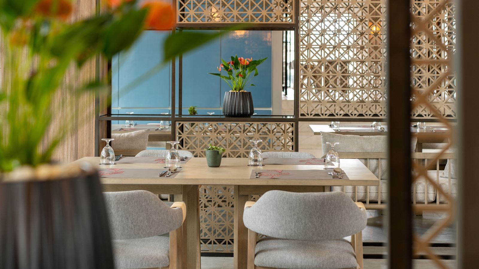 restaurants-bella-nara-cuisine