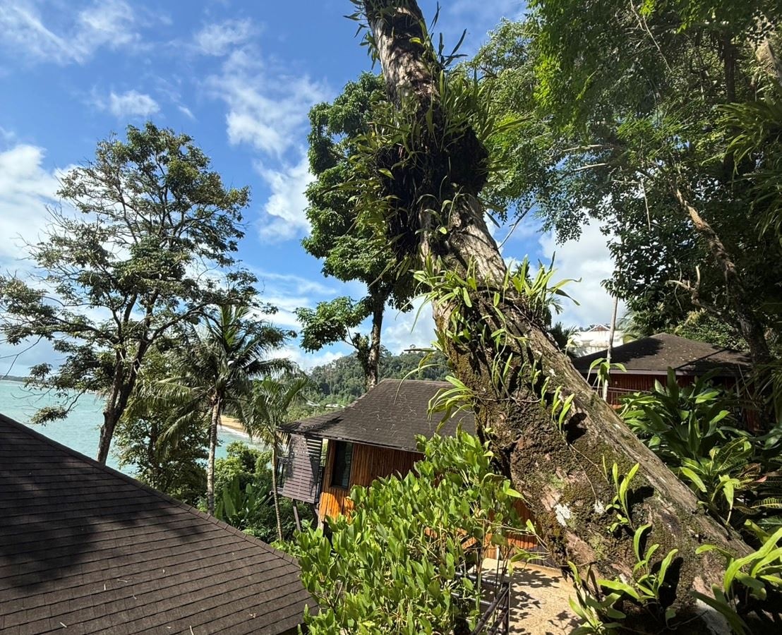 rooms-deluxe-seaview