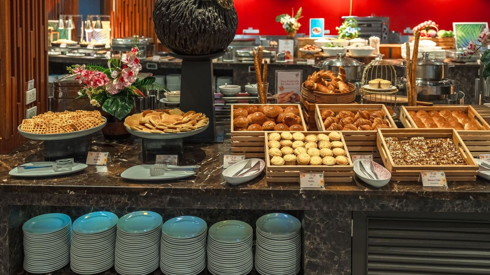 restaurants-splash-kitchen