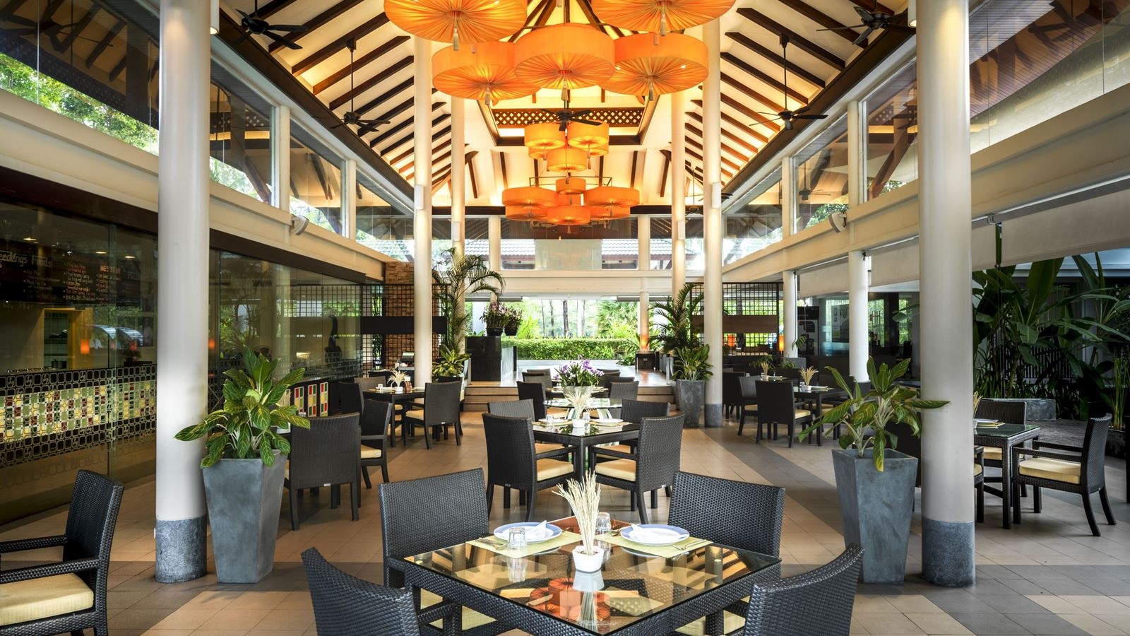 restaurants-seedling