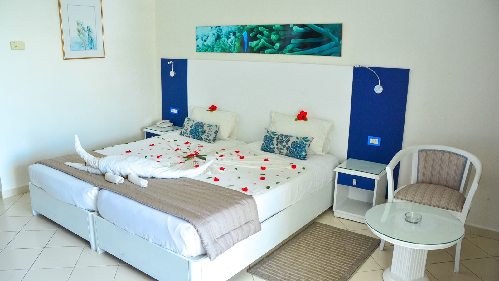 rooms-standard-room-pool-view