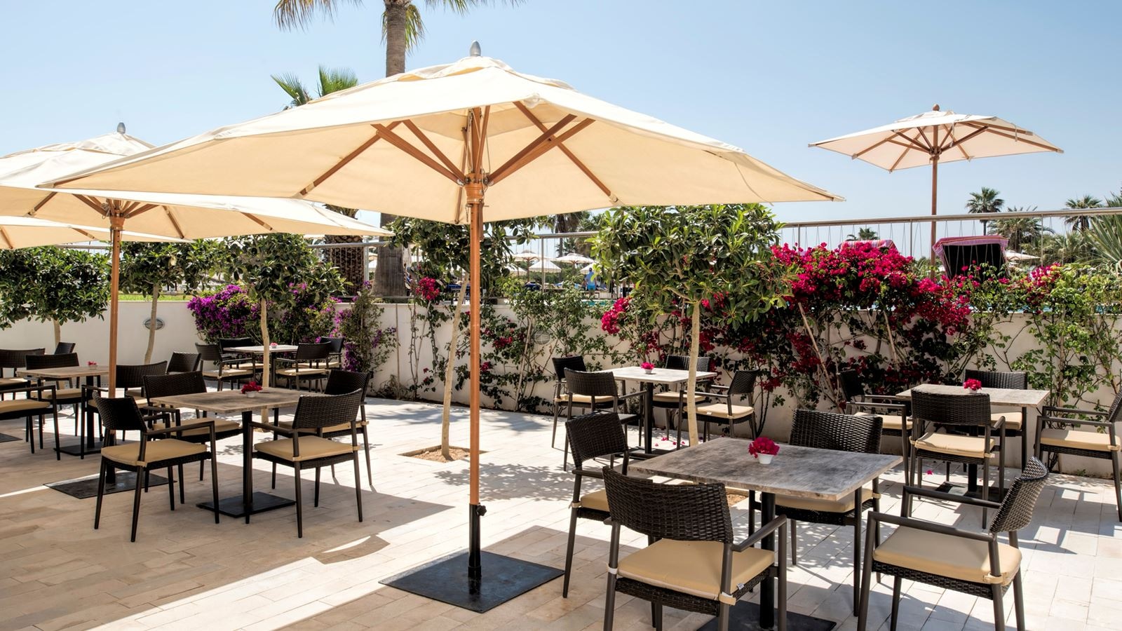 restaurants-le-rimel-snack-bar