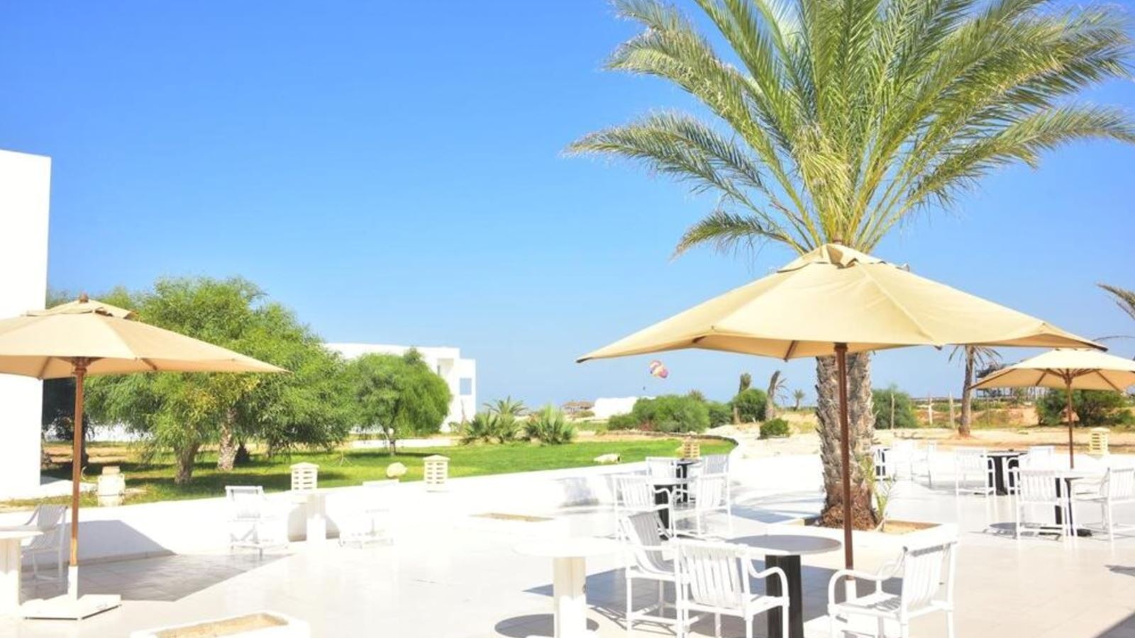 bars-beach-club-loqui