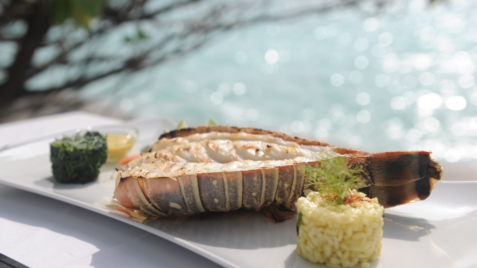 restaurants-specialty-restaurant