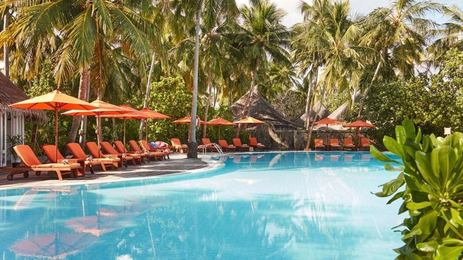 bars-positive-energy