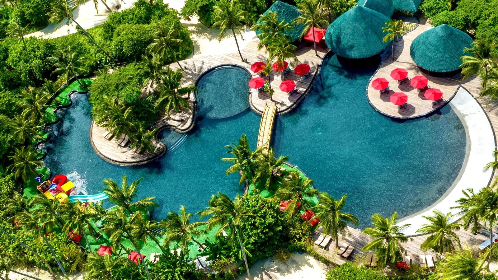 restaurants-jungali--pool-bar-with-lush-vegetation