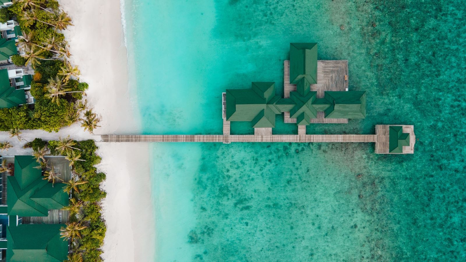 restaurants-takrai-thai-speciality-cuisine