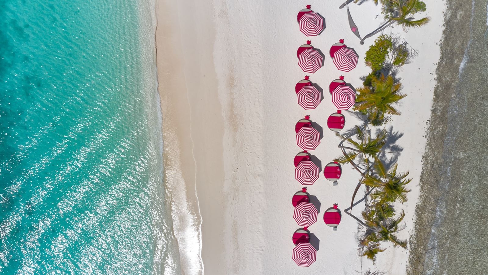 restaurants-crab-shack