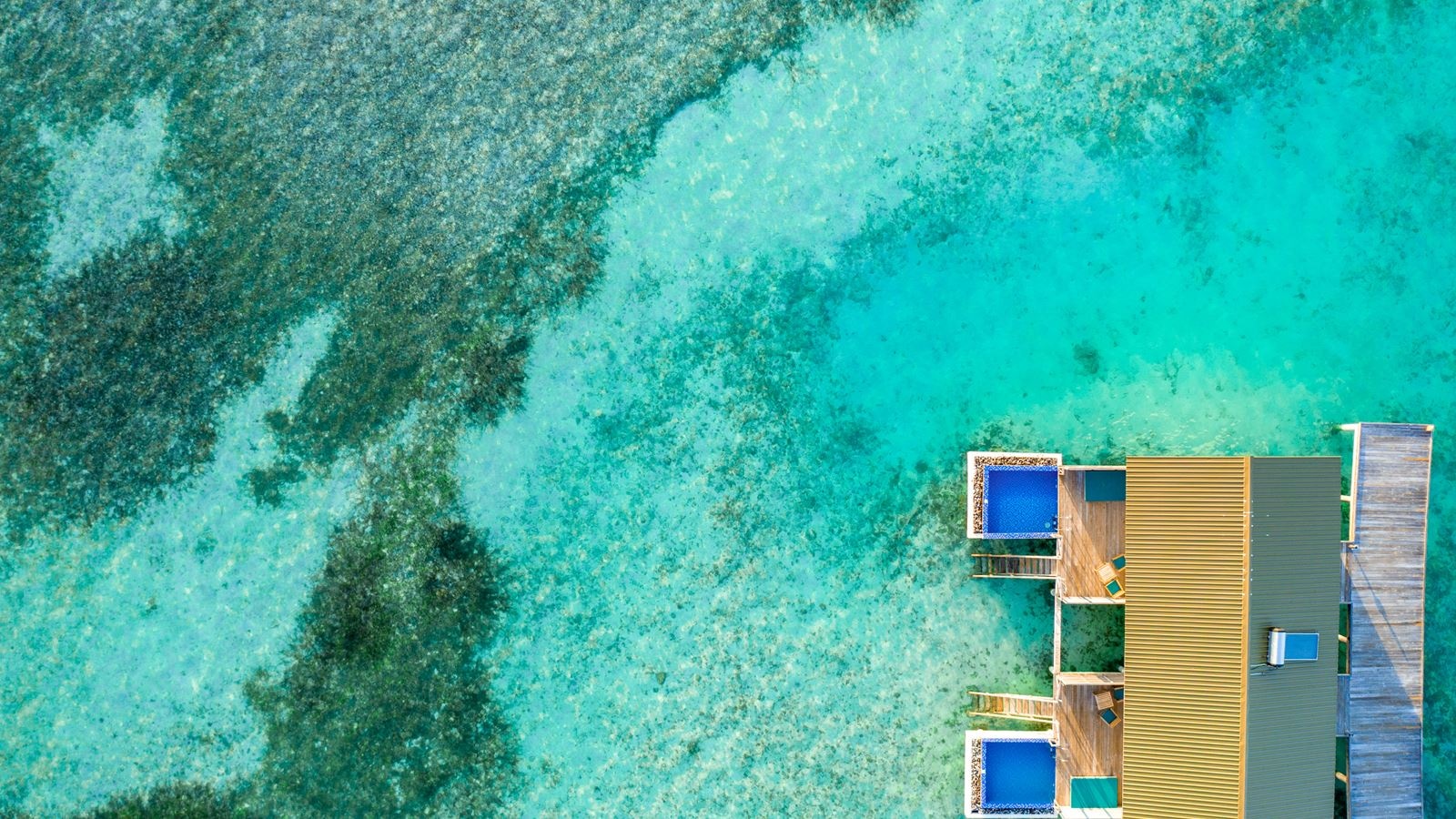 rooms-overwater-pool-villa