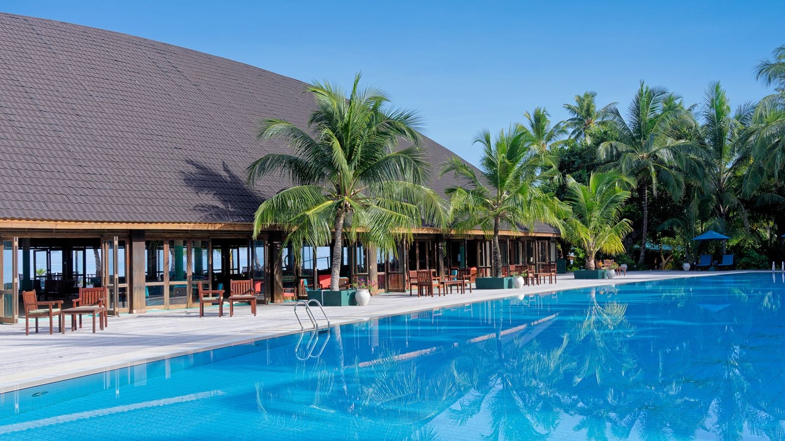 restaurants-dhoni-bar