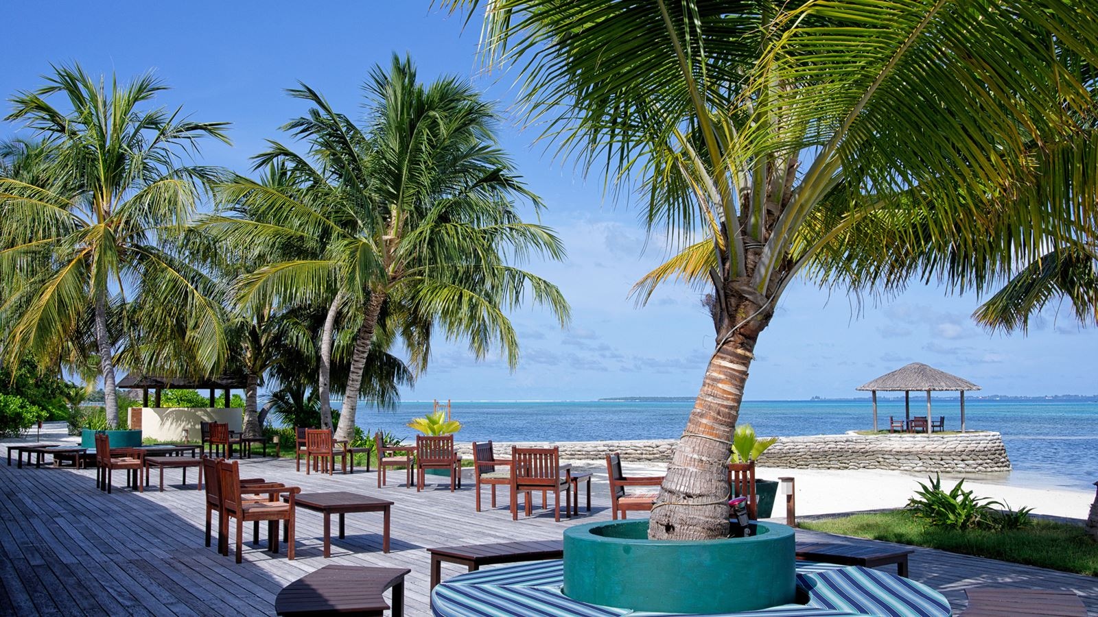 restaurants-dhoni-bar