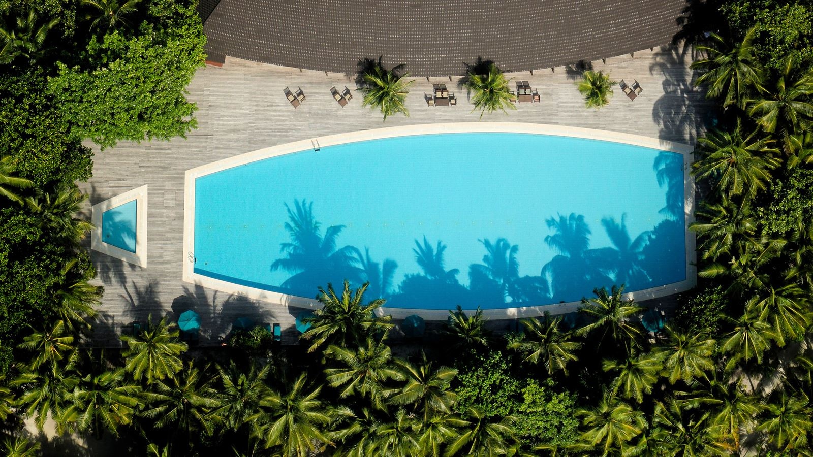 restaurants-dhoni-bar