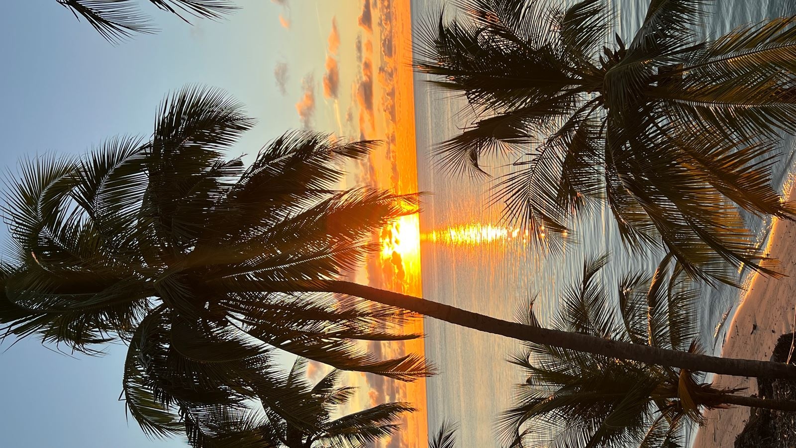 rooms-deluxe-seaview-with-balcony