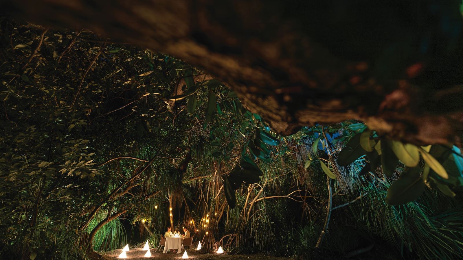 restaurants-destination-dining