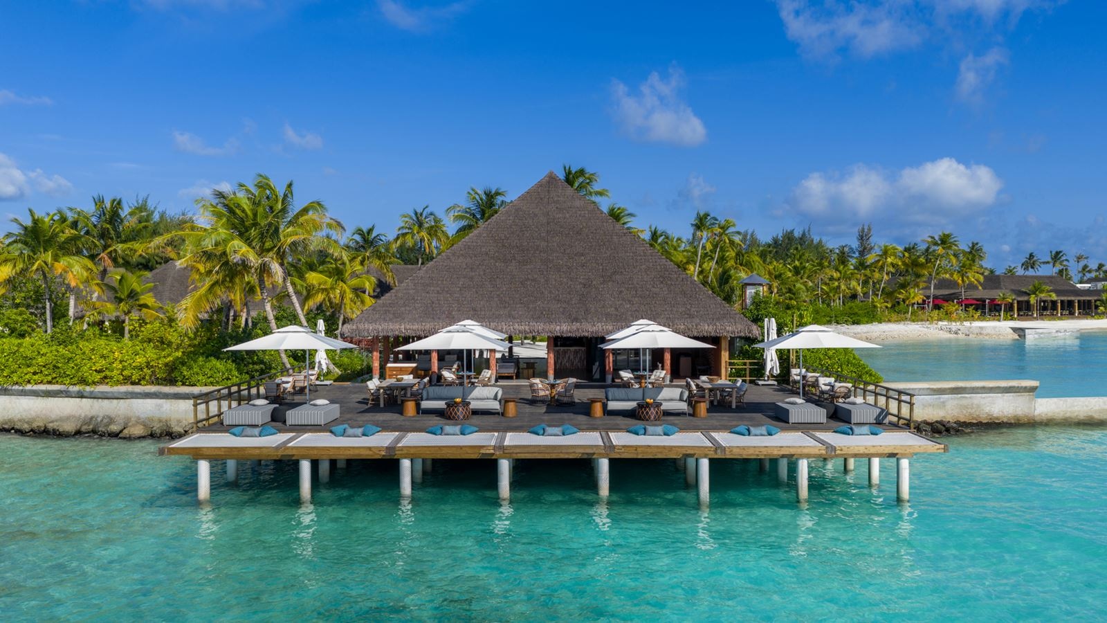 restaurants-the-cocoon