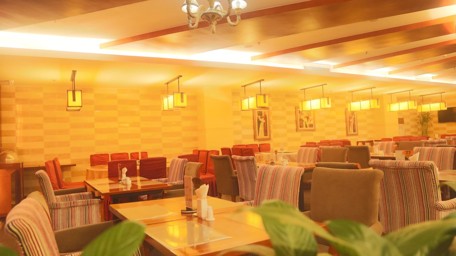 restaurants-restaurants