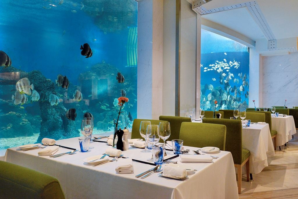 restaurants-ocean-restaurant