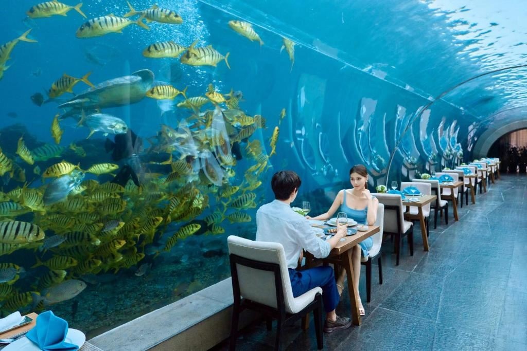 restaurants-aqua