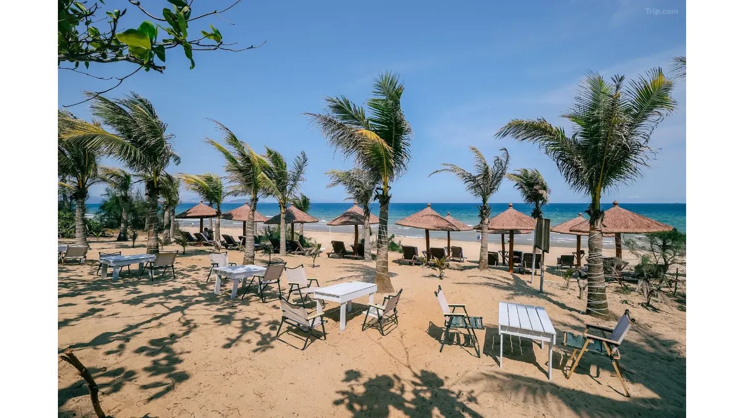 bars-beach-bar