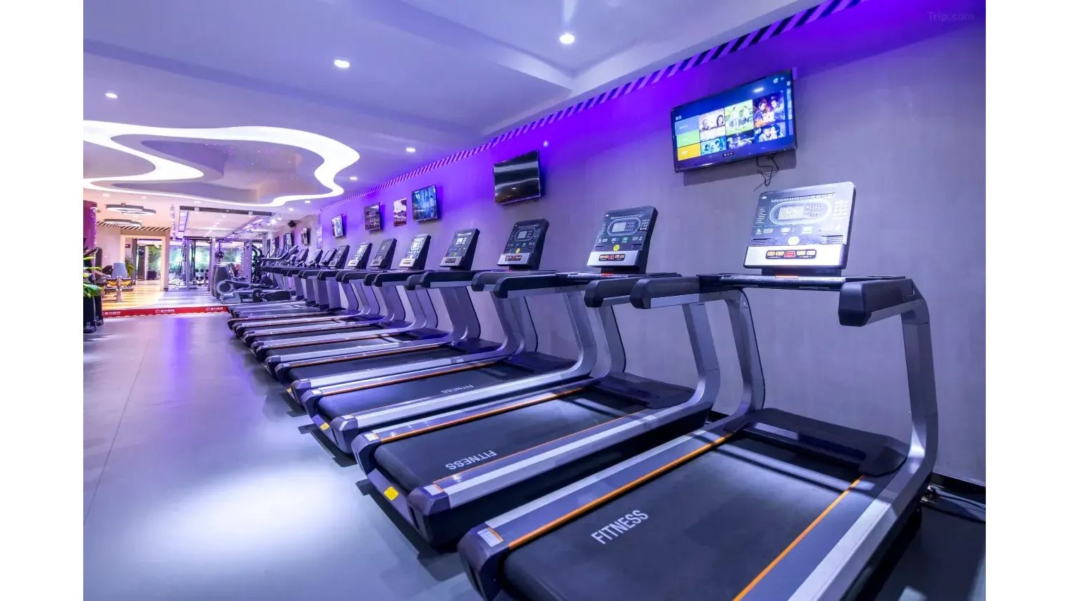 sport-sport