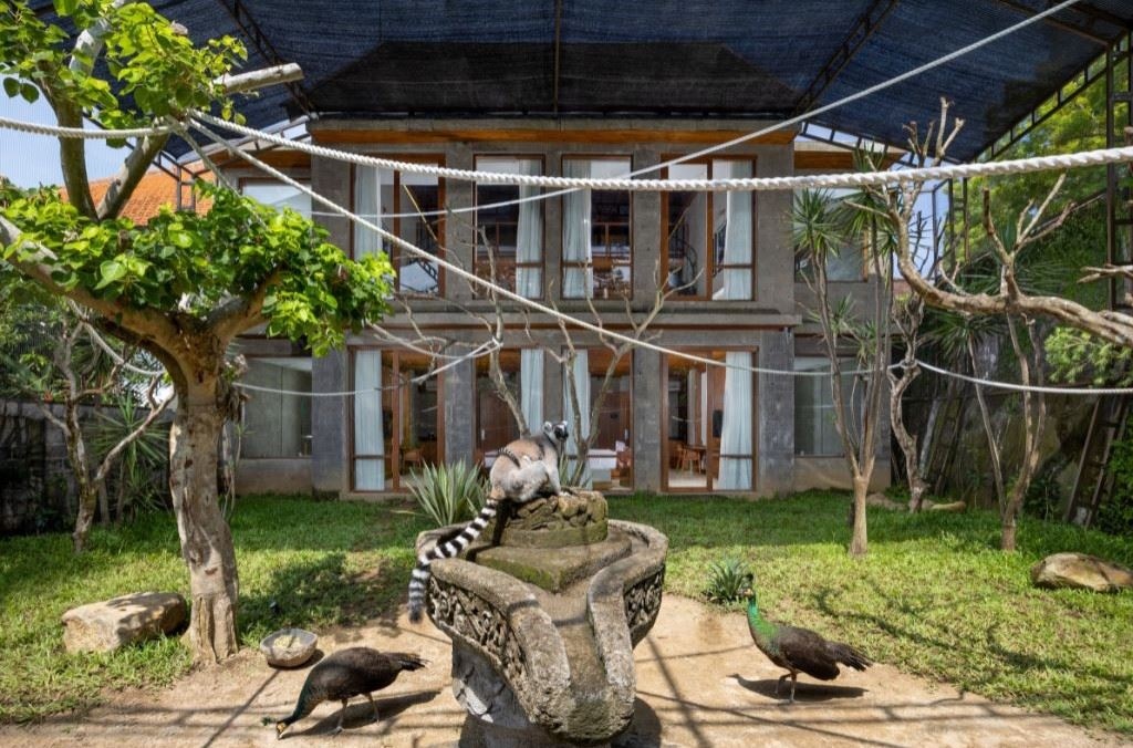 rooms-family-suite-aviary