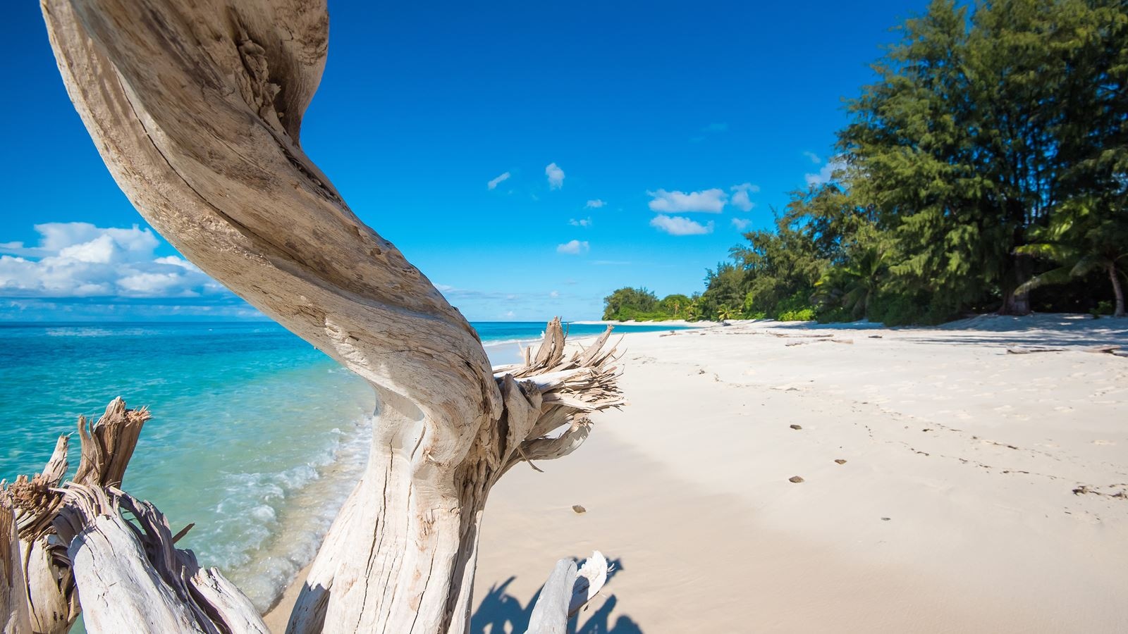 beach-beach