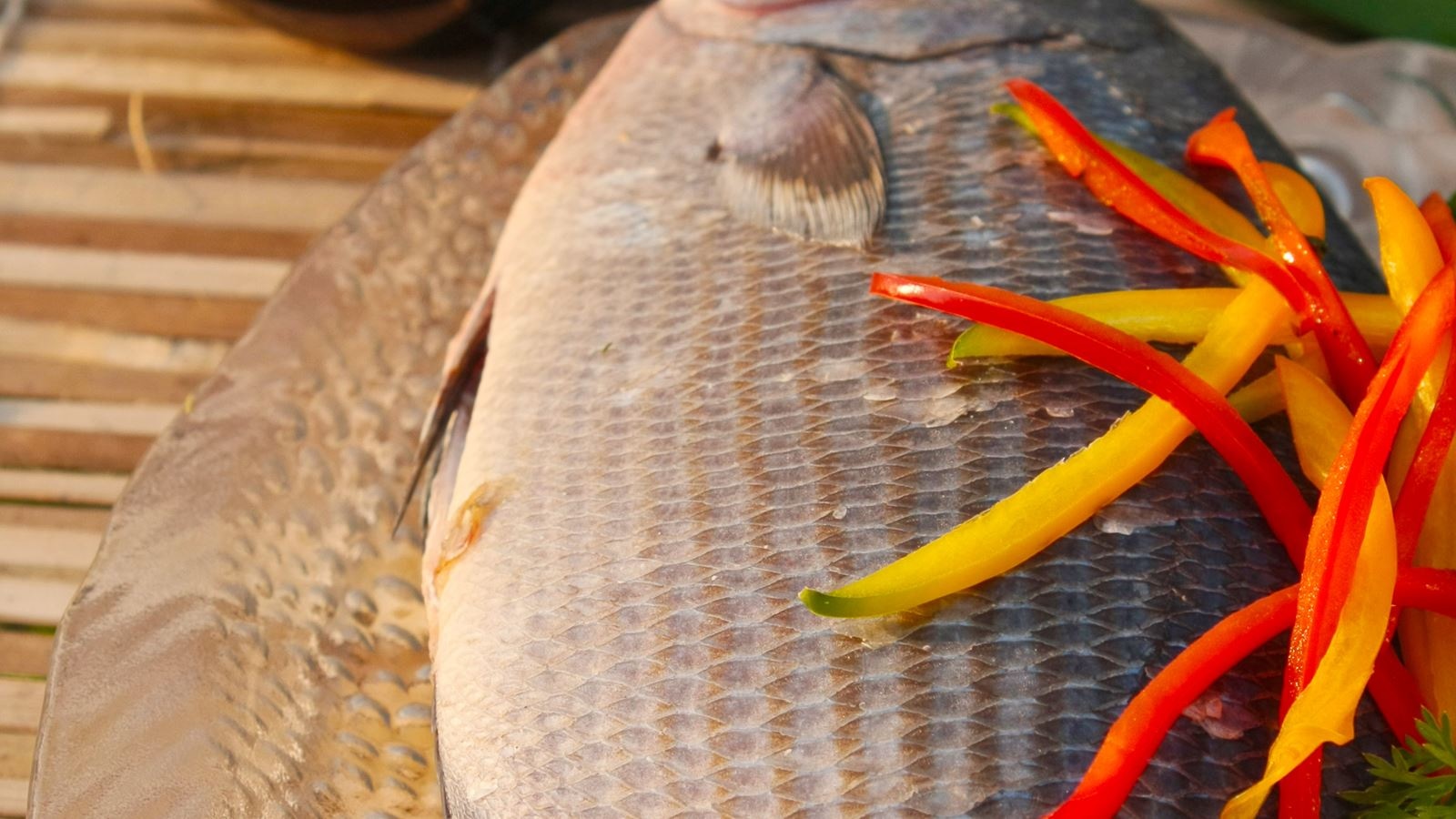 restaurants-the-nautilus