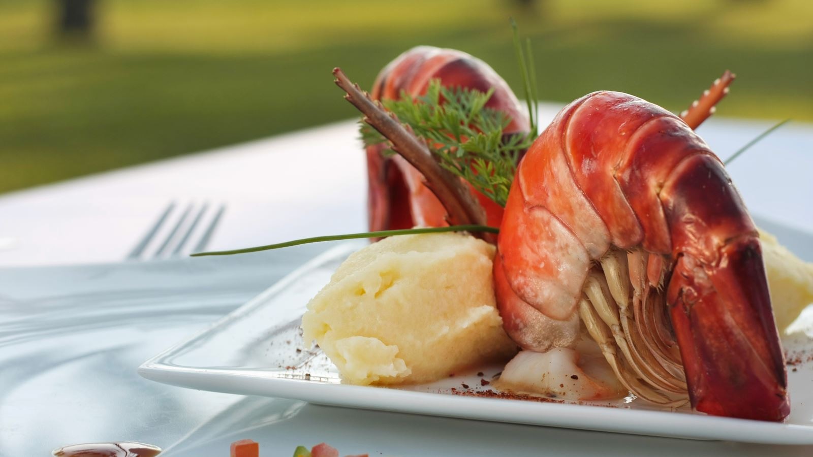 restaurants-the-nautilus