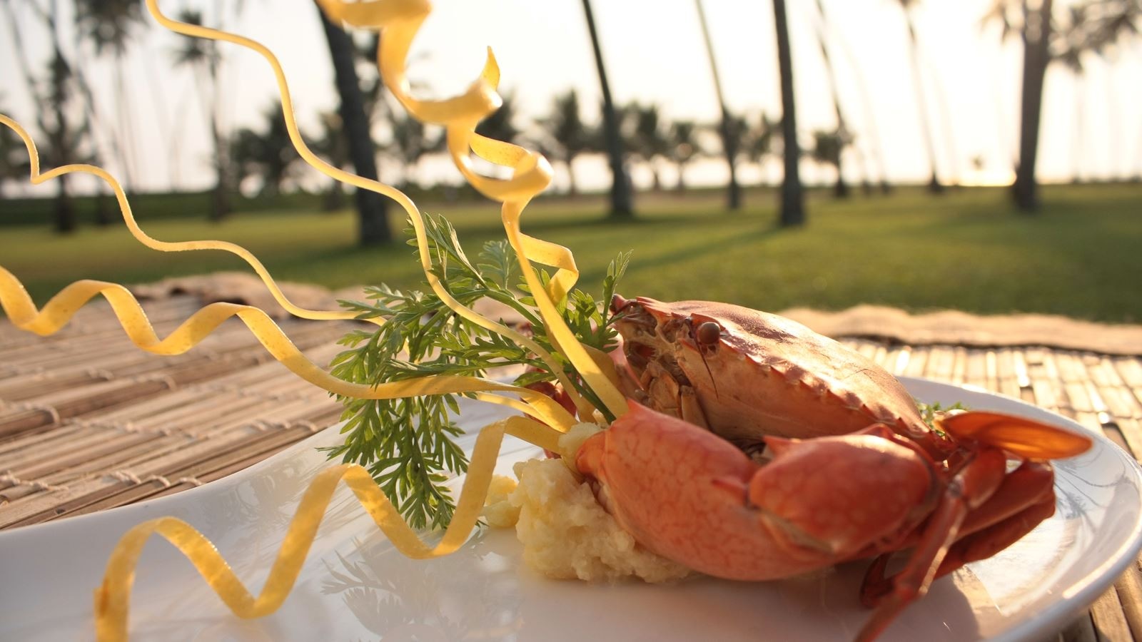 restaurants-the-nautilus