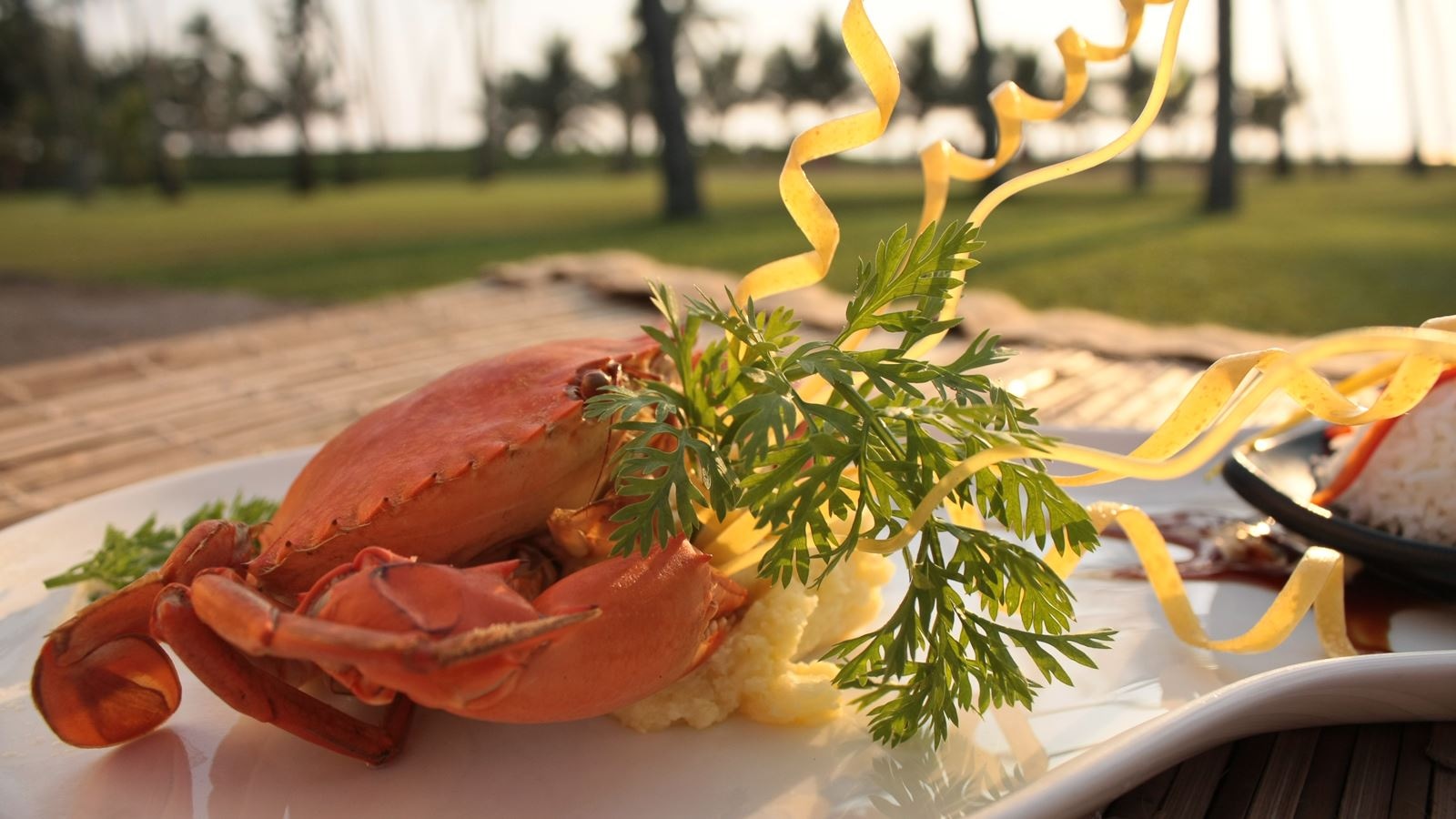 restaurants-the-nautilus