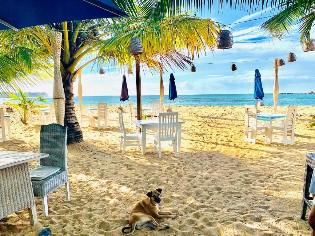 restaurants-thaprobane-restaurant