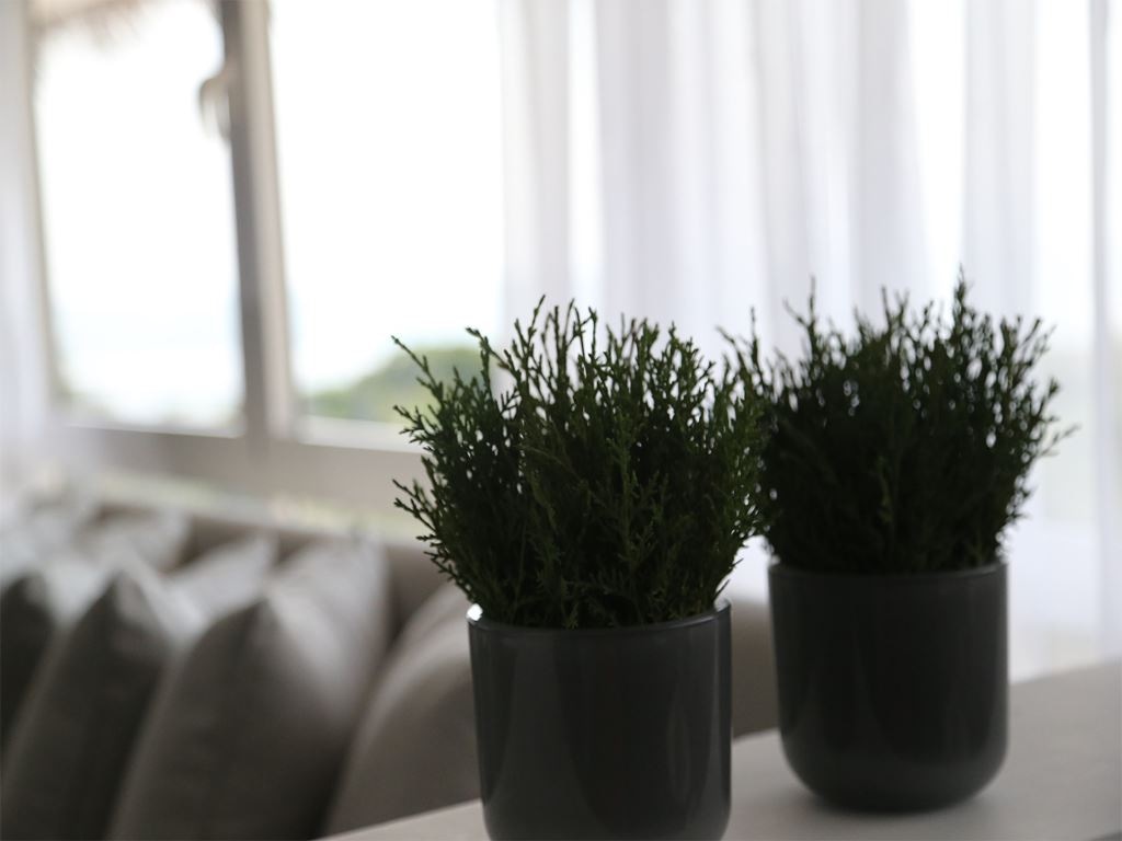 rooms-kalkuda-studio