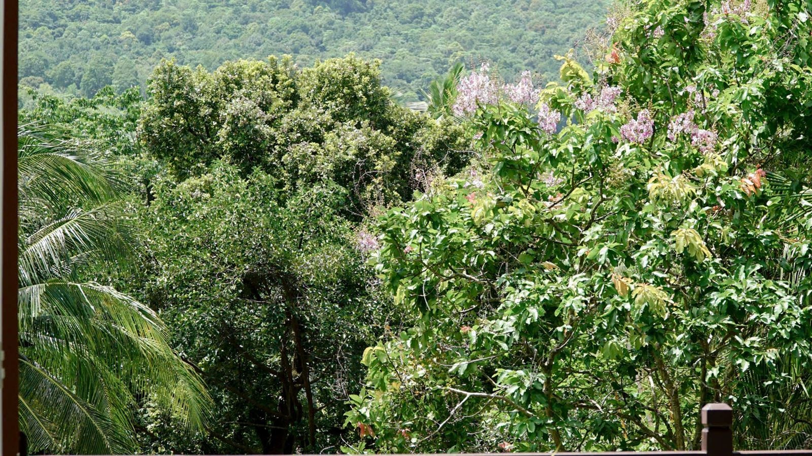 rooms-deluxe-garden-view-with-balcony