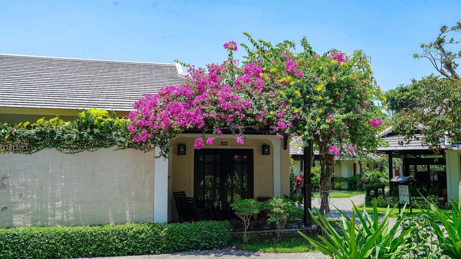 rooms-executive-bungalow-with-terrace