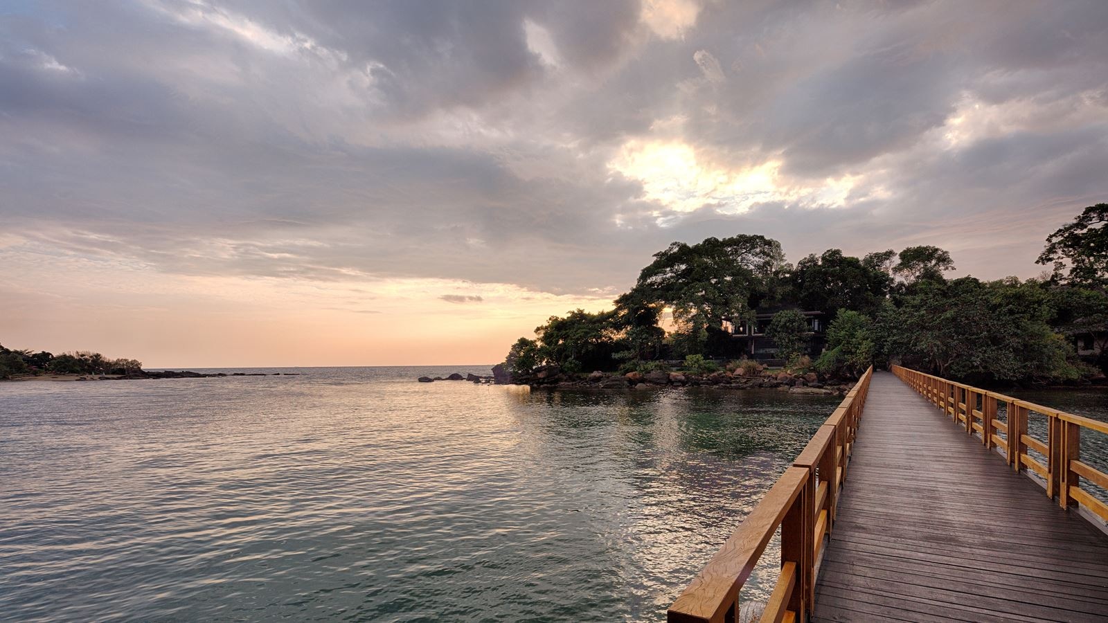 restaurants-tree-house