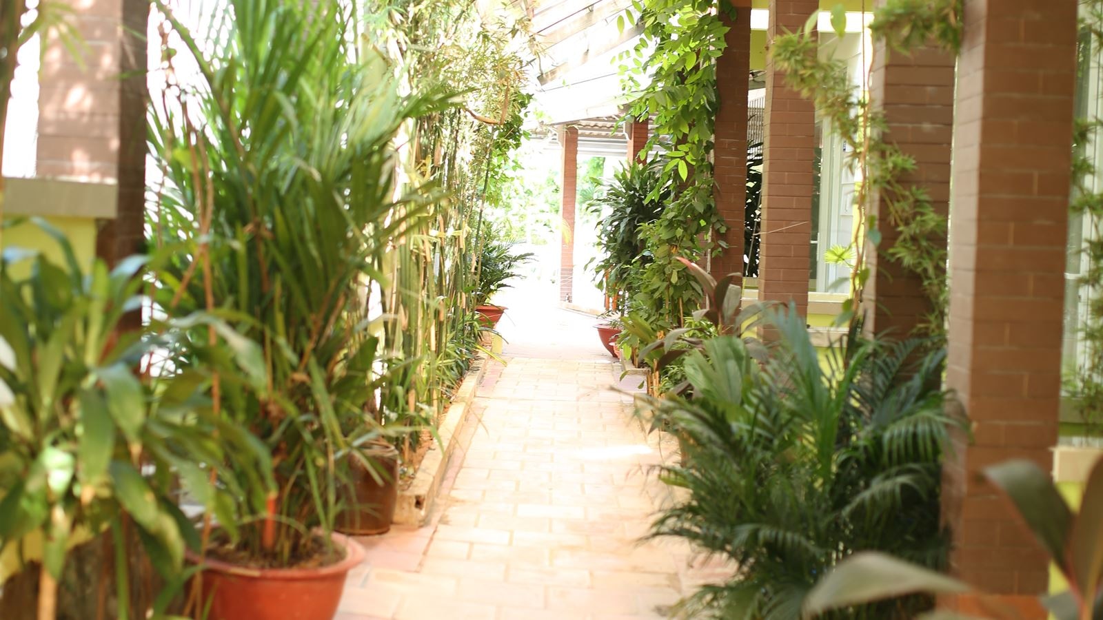 rooms-bungalow-standard-with-terrace-child-without-extra-bed