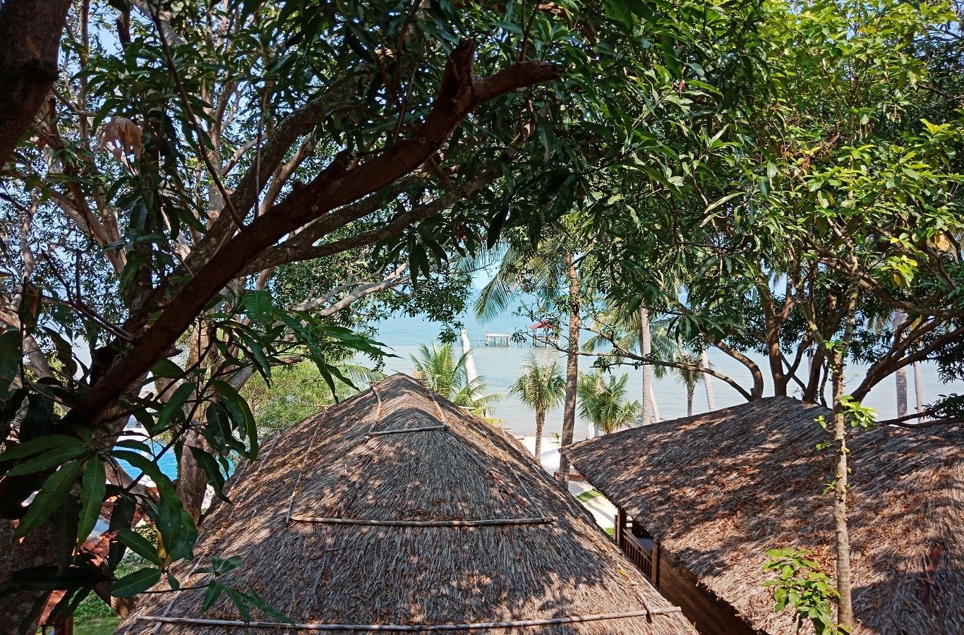 rooms-bungalow-ocean-view