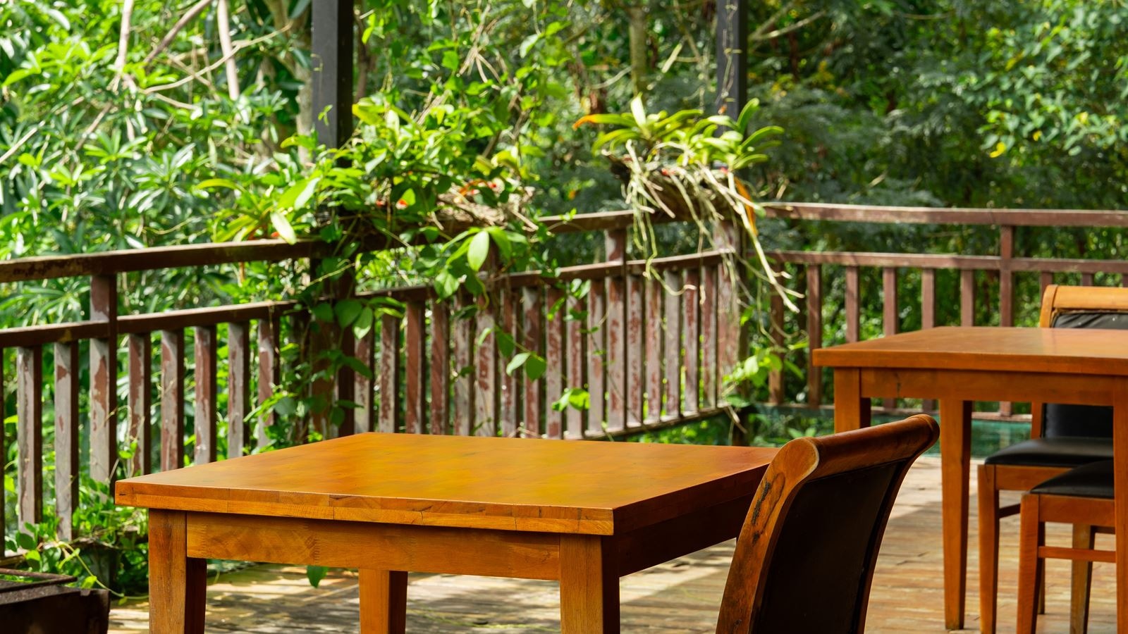 restaurants-bambusa-restaurant