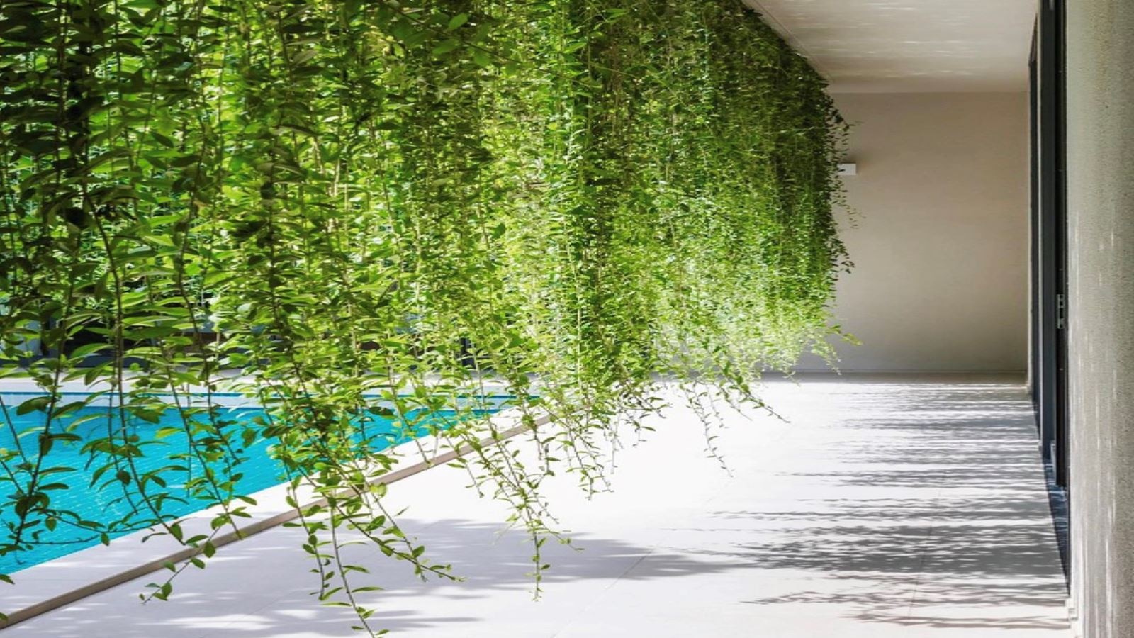 rooms-1bedroom-pool-villa-no-extra-bed