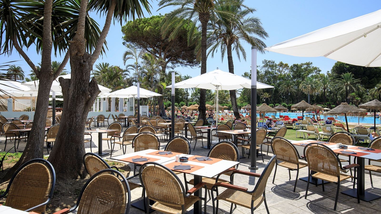 restaurants-buffet-restaurant