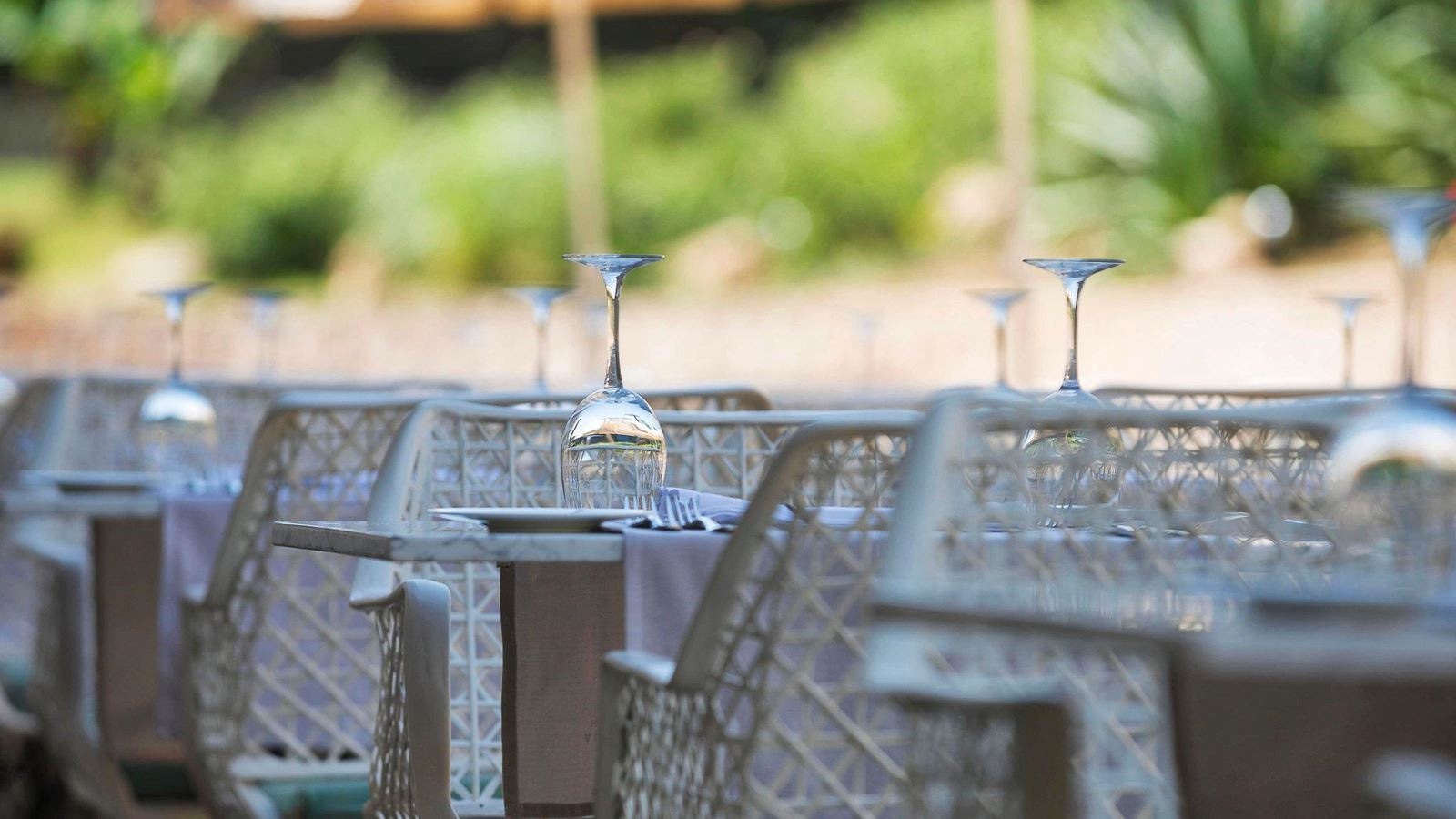 restaurants-main-restaurant